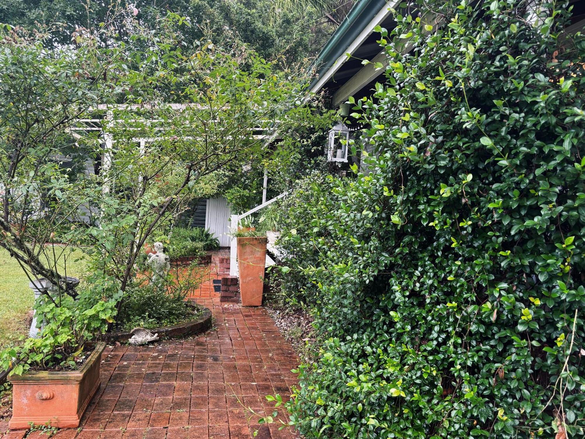 Celestial Dew Guesthouse In Tyalgum Kültér fotó